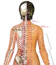 Магнитна постелка за гръб - Модел 2